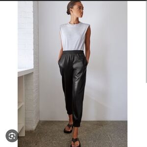 Aritzia Babaton Zedel Pant Black Vegan Leather Jogger